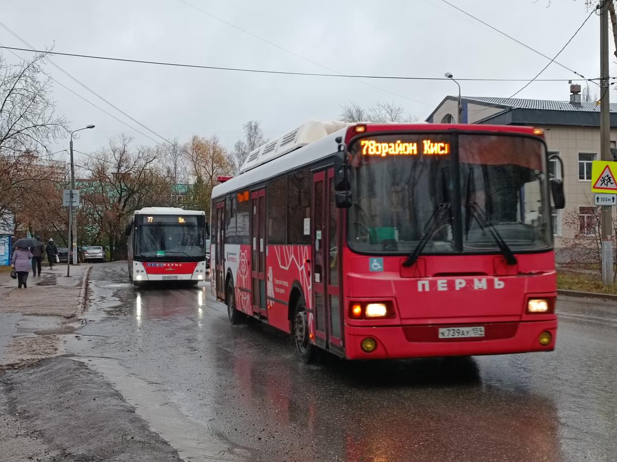 Автобус 78 и 77
