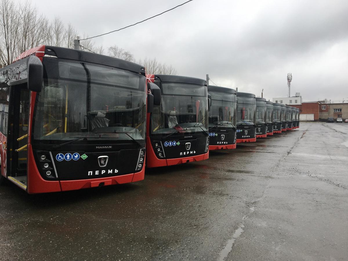 новые автобусы НЕФаЗ